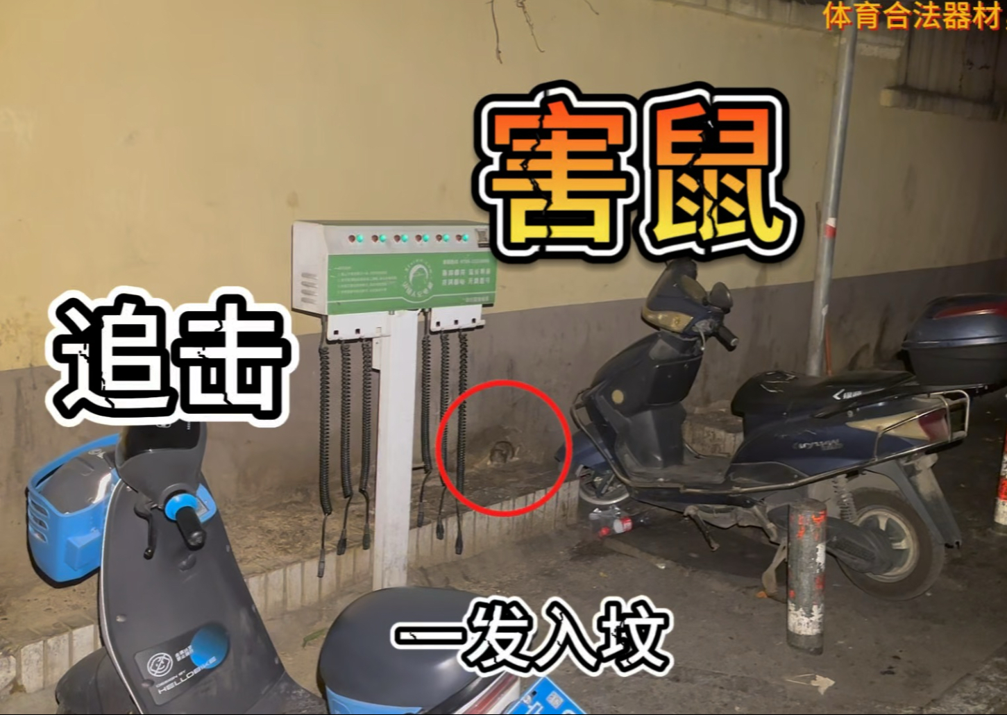 城市保卫战，小吃街害鼠泛滥，城市猎人限时返场，大战一触即发！