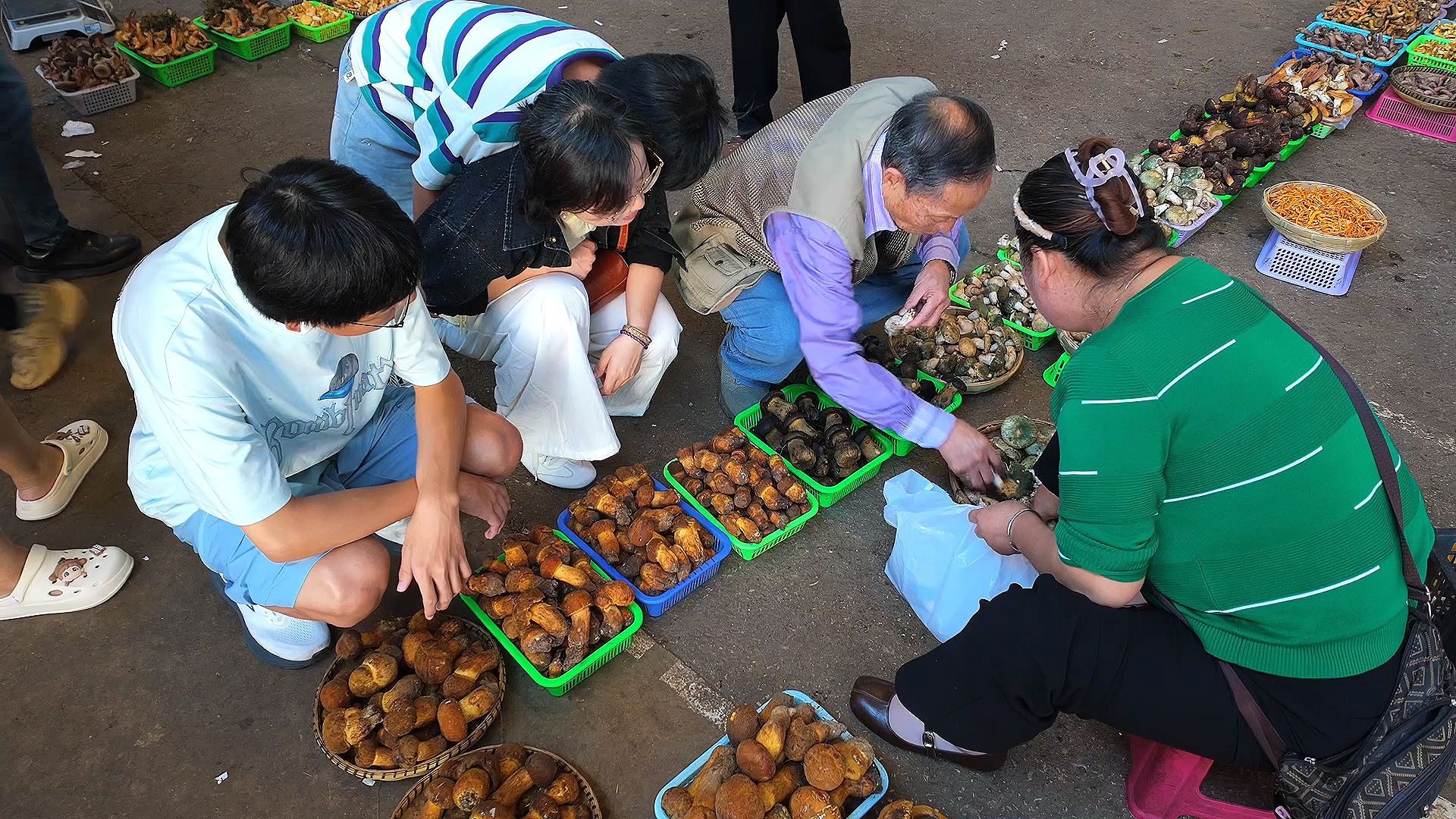 来昆明避暑误闯野生菌窝，菌菇多到让人眼花缭乱，真的大开眼界了