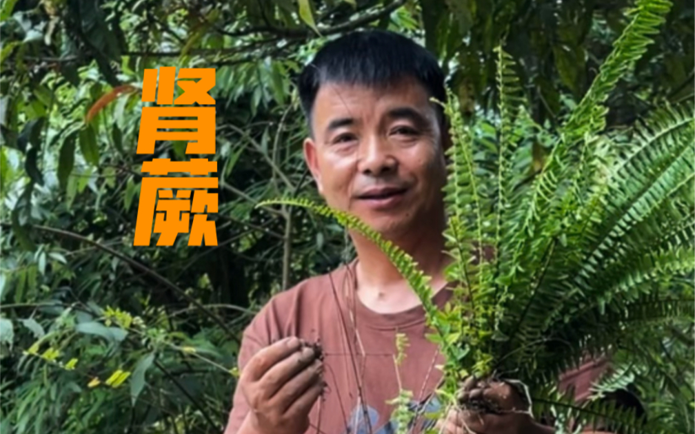 在丛林中没吃没喝该怎么办？