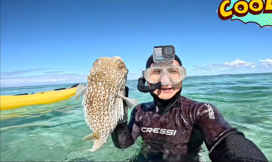 ok哥打到一只小刺豚，这玩意咋吃呢，这么多刺