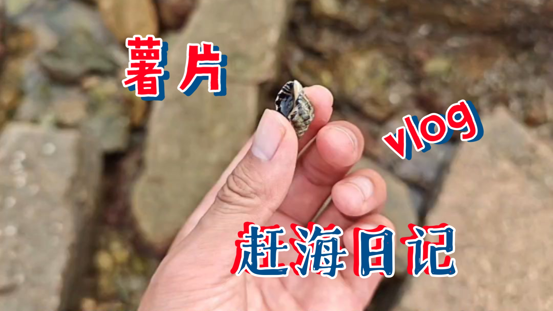 可恶，今天公交车竟然涨价了