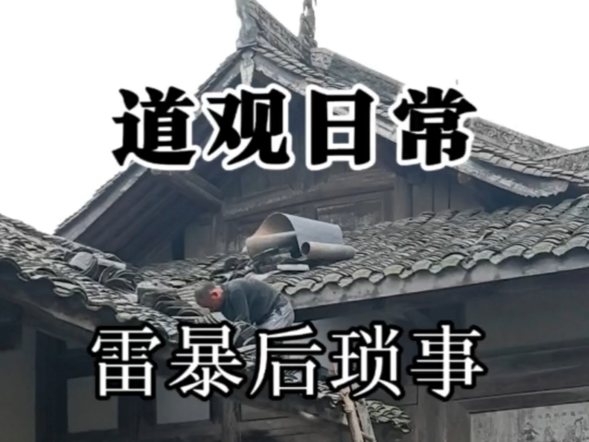 【道观日常】雷暴后琐事