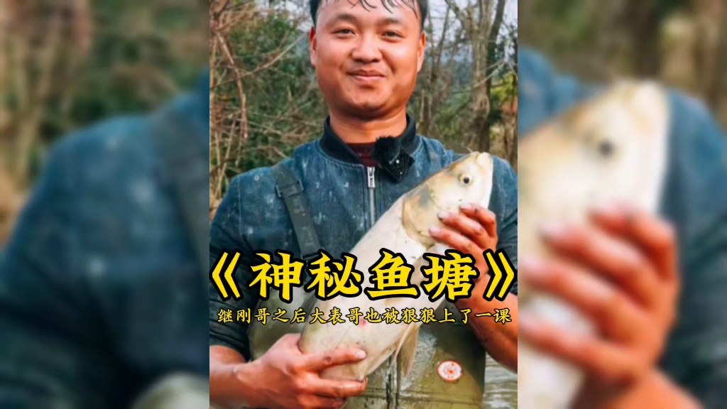 “这下大表哥也被狠狠的上了一课”