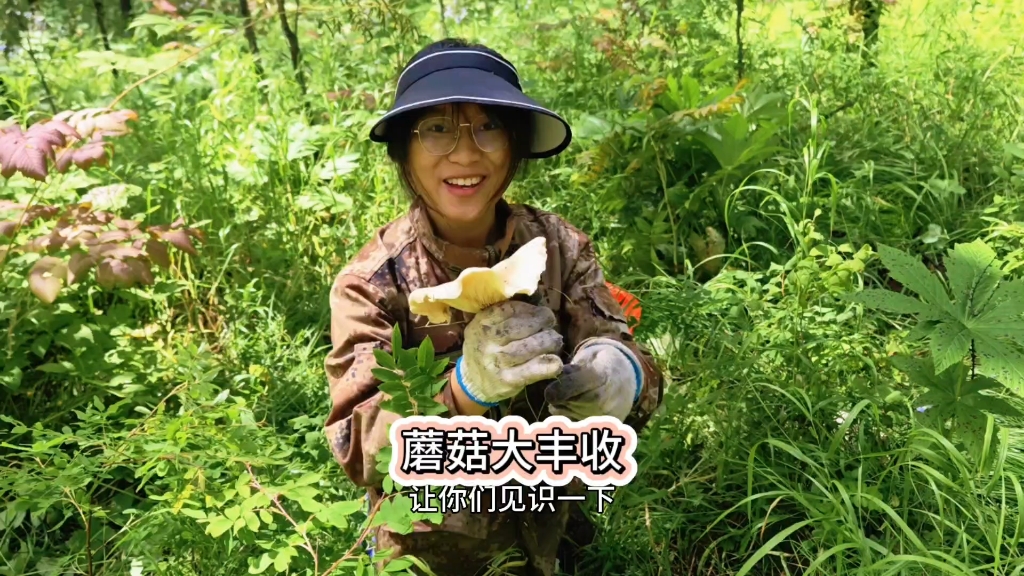 可惜你要上班，不知道采蘑菇有多爽