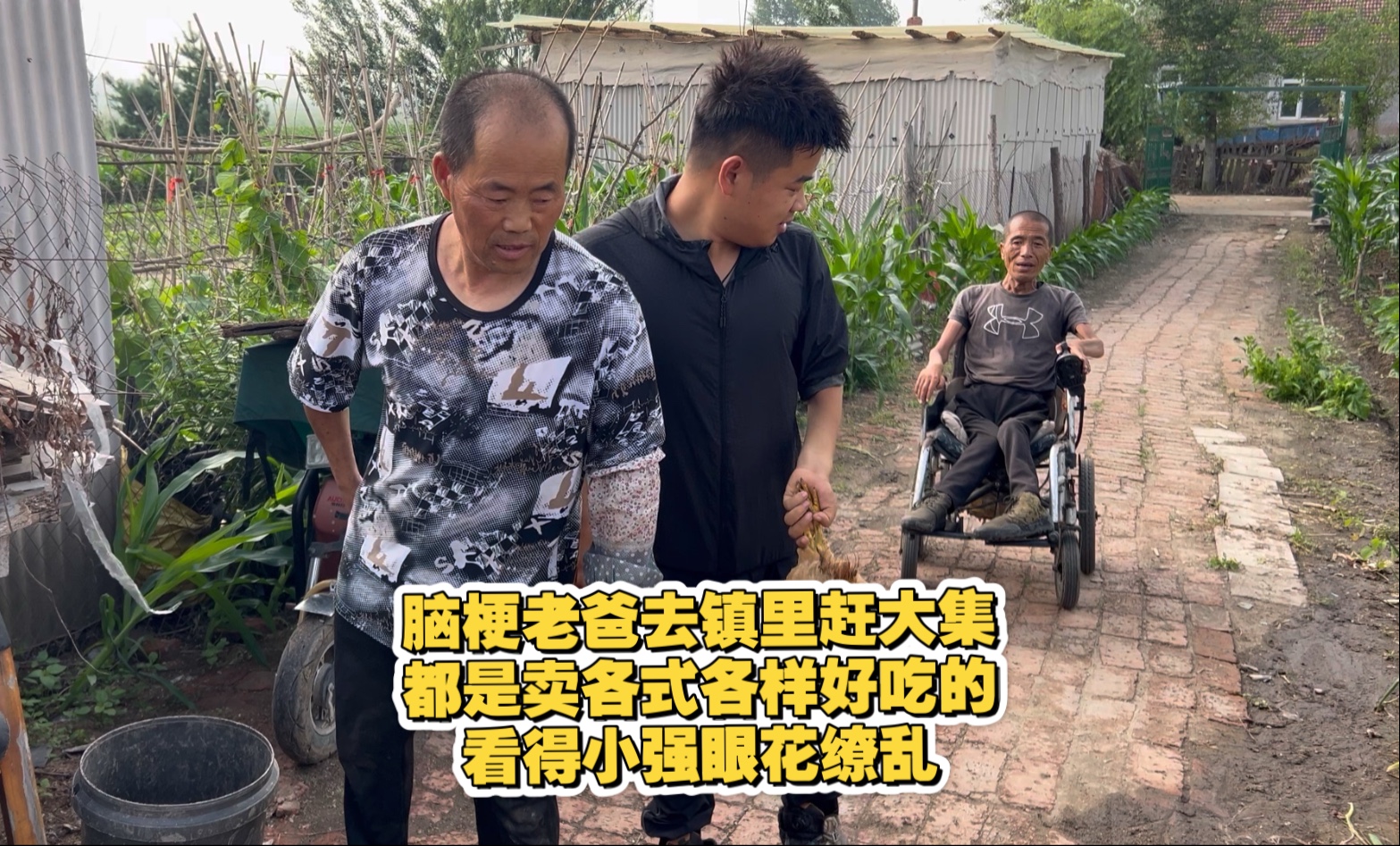 脑梗老爸去镇里赶大集，都是卖各式各样好吃的，看得小强眼花缭乱