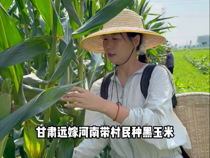在广袤的土地上，手机可以成为新农具，短视频化作新农技，庄稼变成