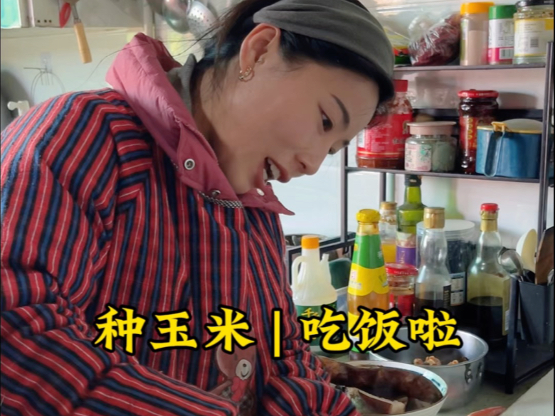 按照老妈的话来说：种完玉米又完成了一件大事！（库存）