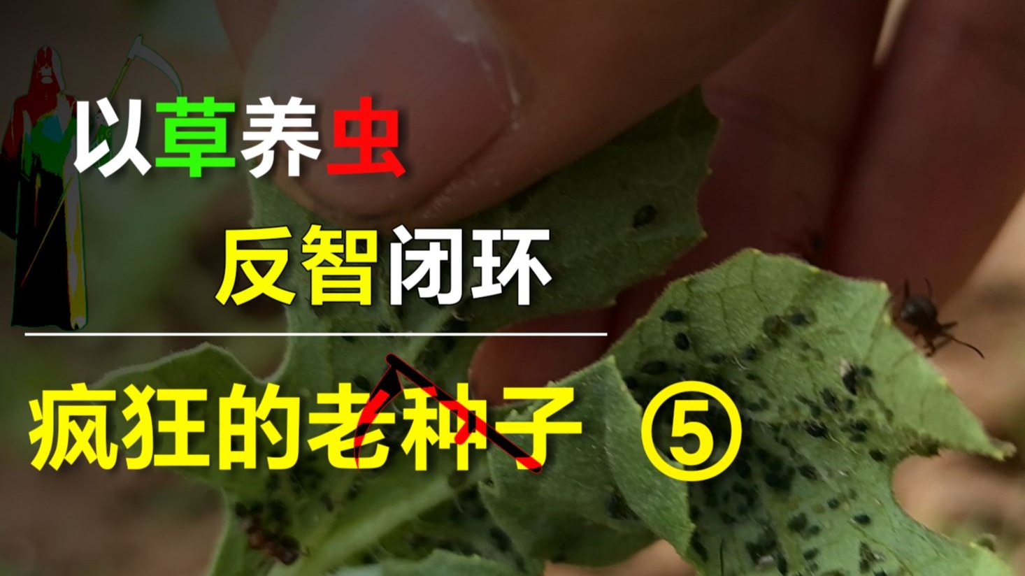 低智反智，此人不封天理不容，揭露所谓老品种割韭菜第五集（共九集