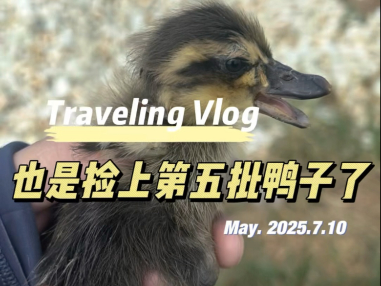 还捡吗