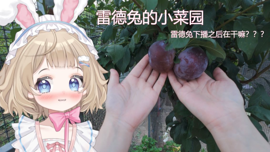 又小又淡又紫