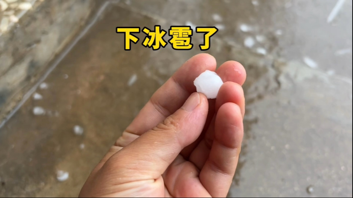 没想到四月还能下冰雹，菜园子损失惨重！