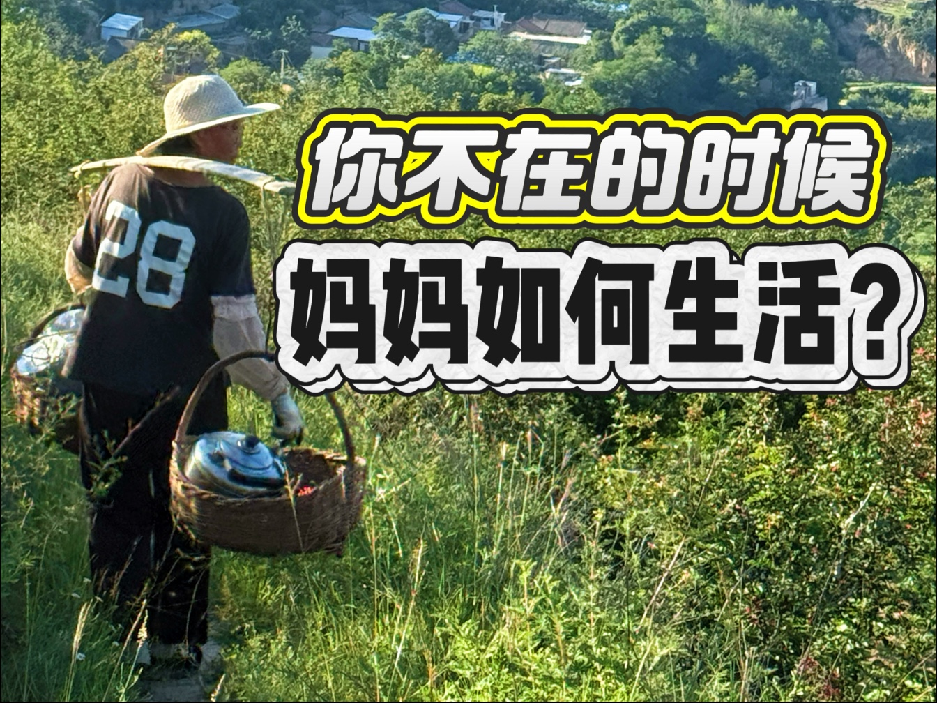 还原一个农村妇女不为人知的生活