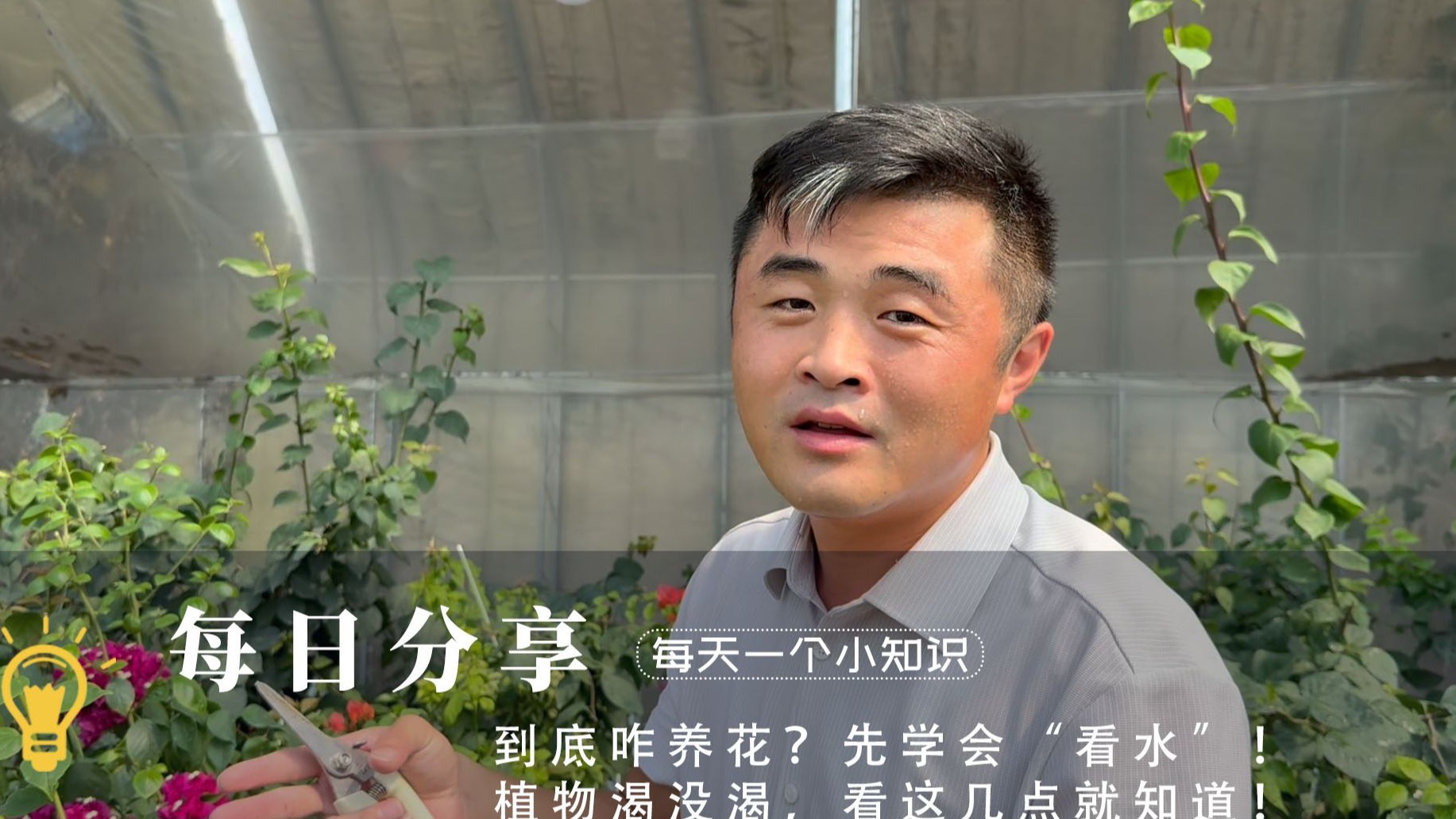 到底咋养花？先学会“看水”！植物渴没渴，看这几点就知道！