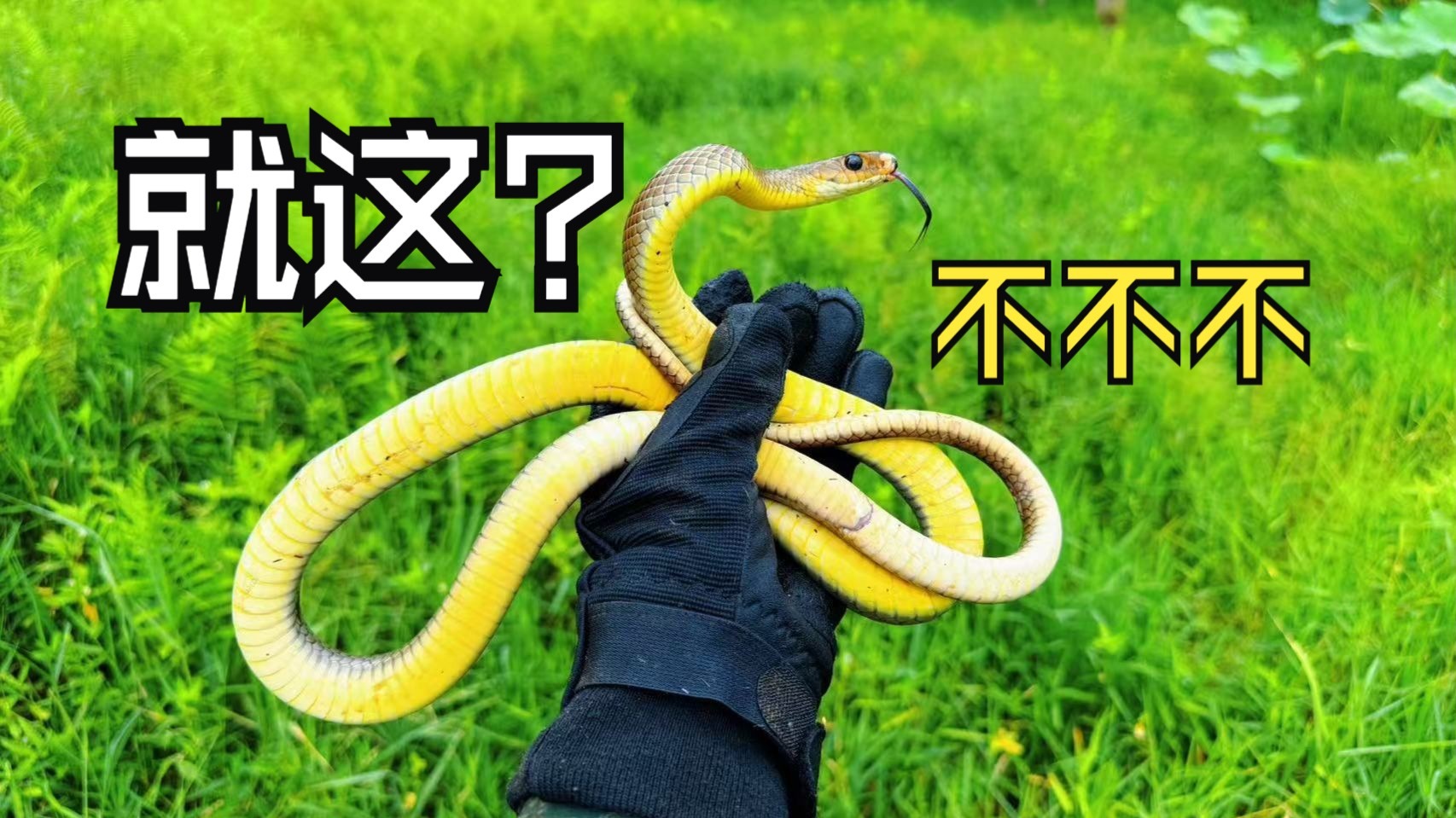 来到异地他乡捕鱼，收获满满，睡着都笑醒。