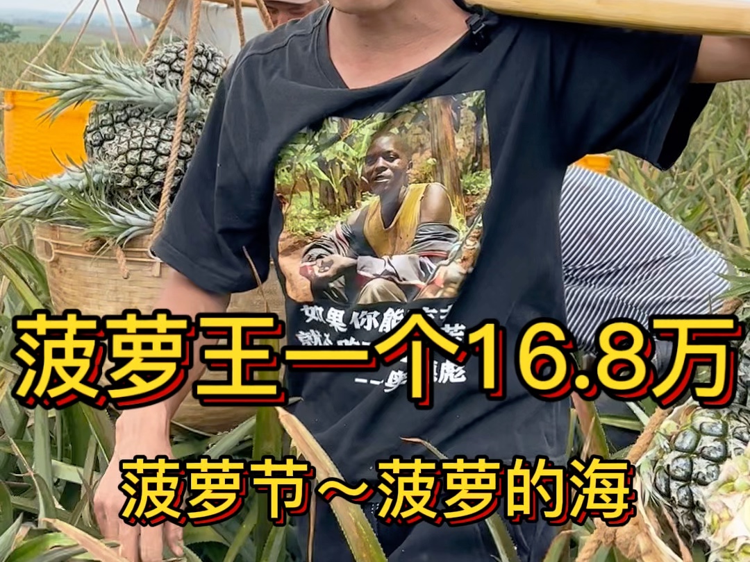 很荣幸获评为“徐闻县十大菠萝星主播”，今天还要挑菠萝，去不了