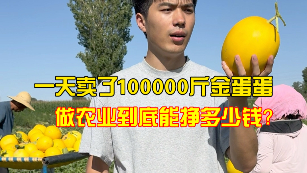 民勤蜜瓜！当UP主一天就能卖十万斤，发财了！