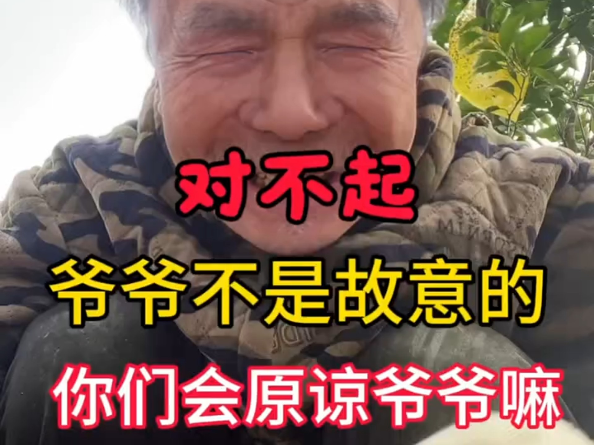 对不起 爷爷不是故意的 你们原谅爷爷吗