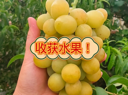 这下雨天，真的是没完没了的了！