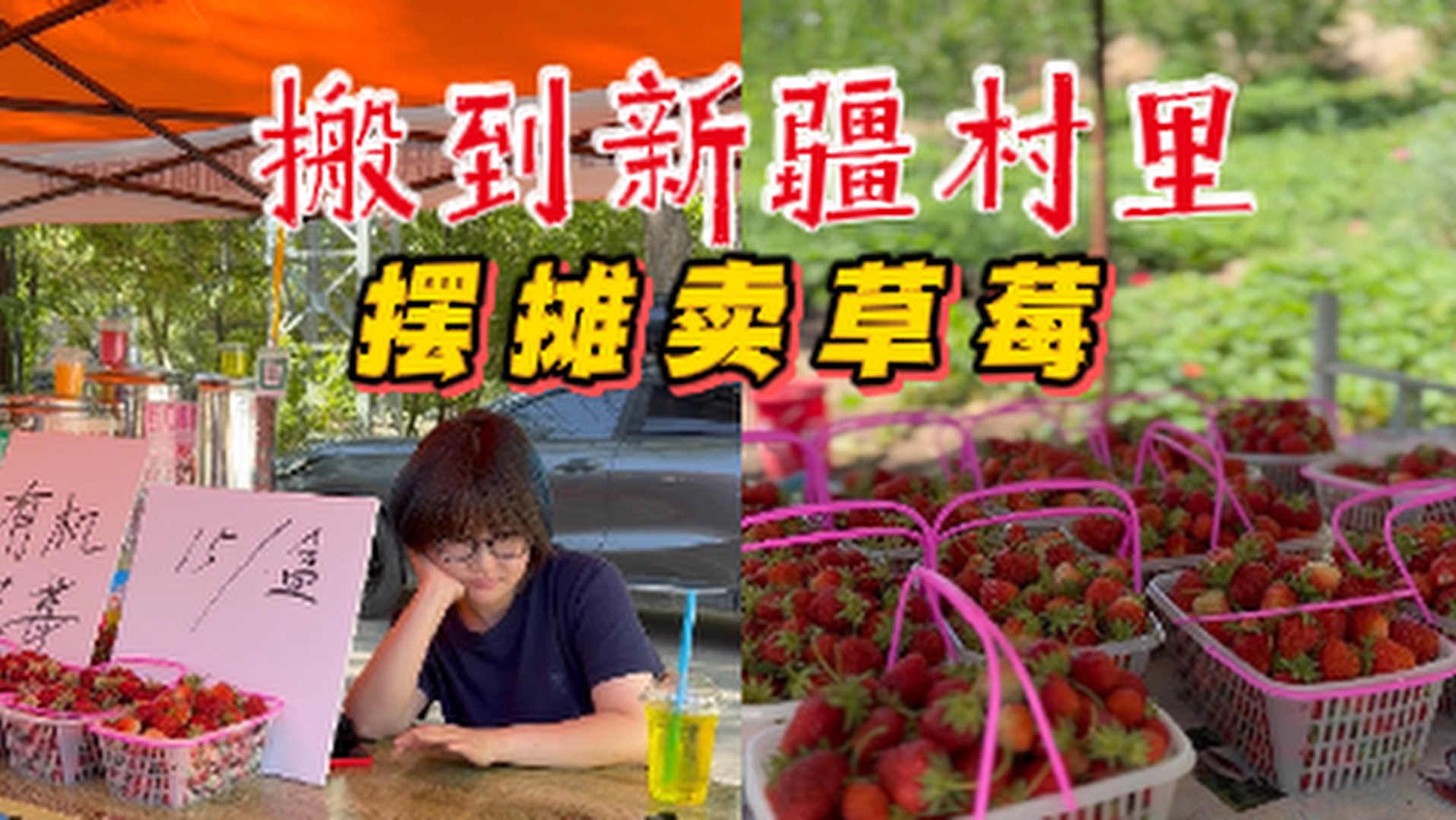 在新疆小县城摆摊卖35公斤草莓，能赚多少钱？