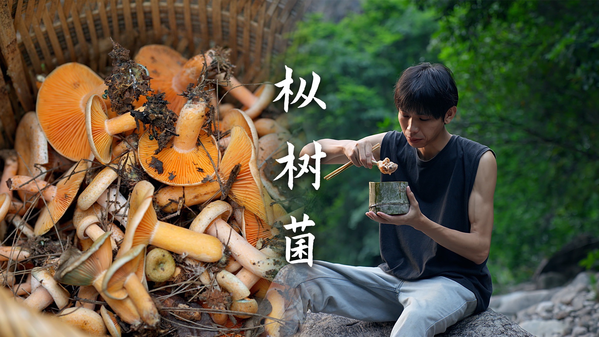 又到了捡菌子的季节啦，枞树菌鸡汤太美味了！