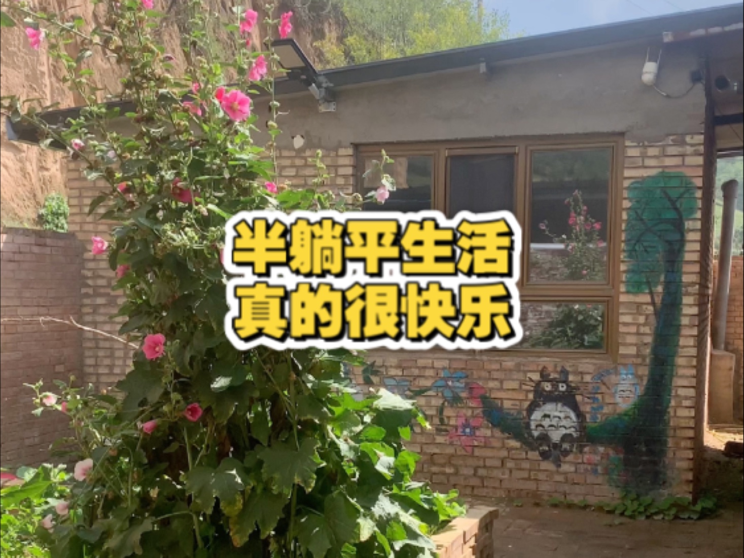 26岁女生｜替大家试过了，回农村半躺平生活真的很快乐！