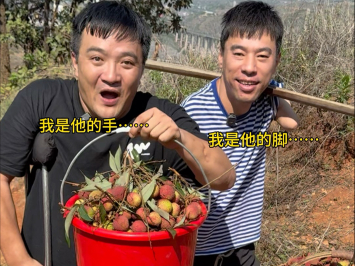 我们今天花了300块买了好多古代妃子都爱吃的荔枝去城里赶集 