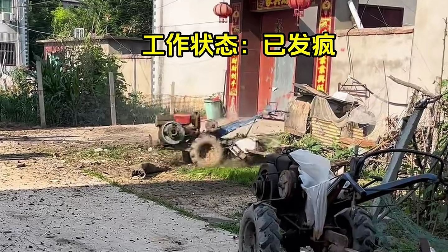 人类驯服野生拖拉机