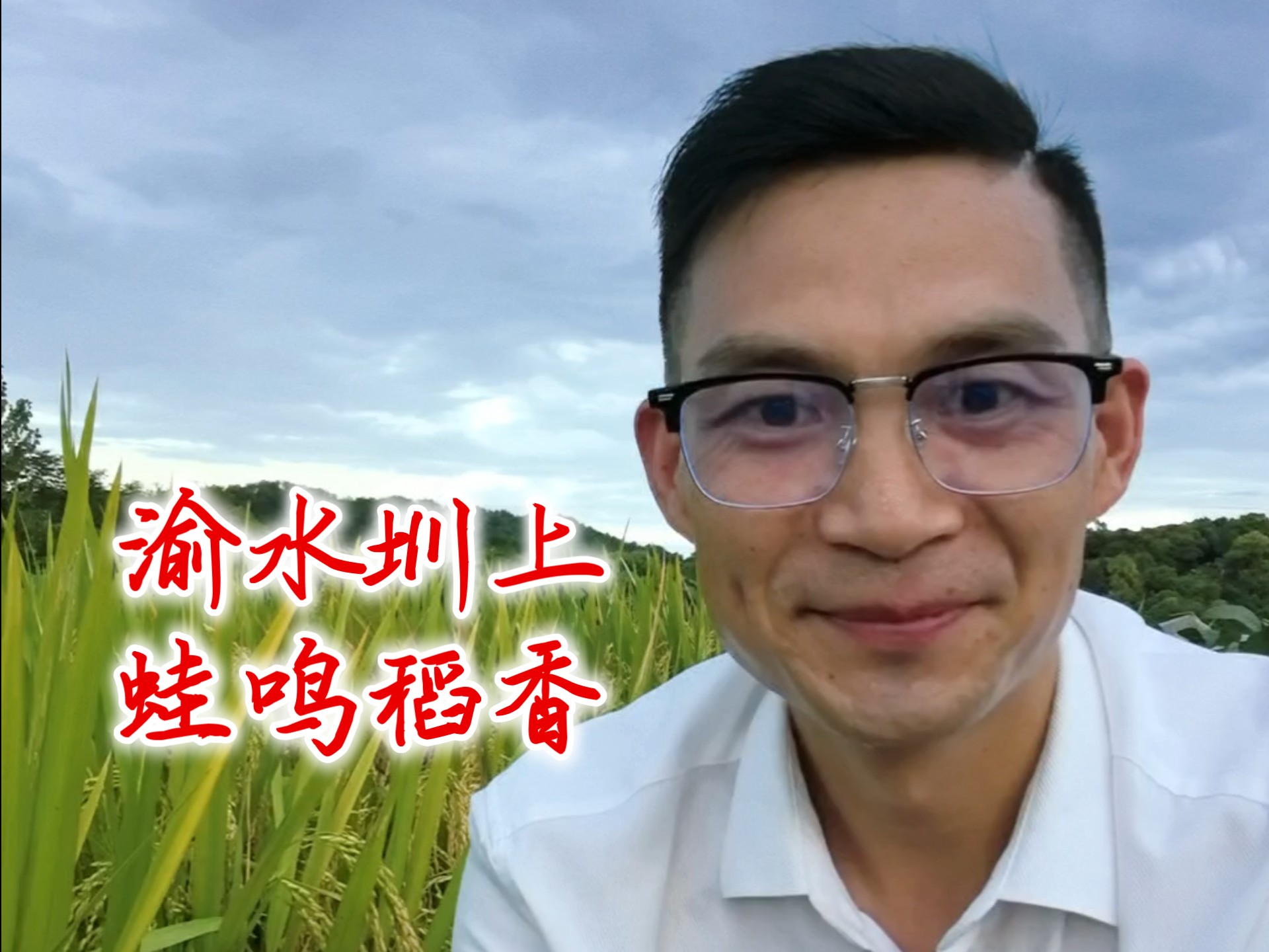 渝水圳上·蛙鸣稻香