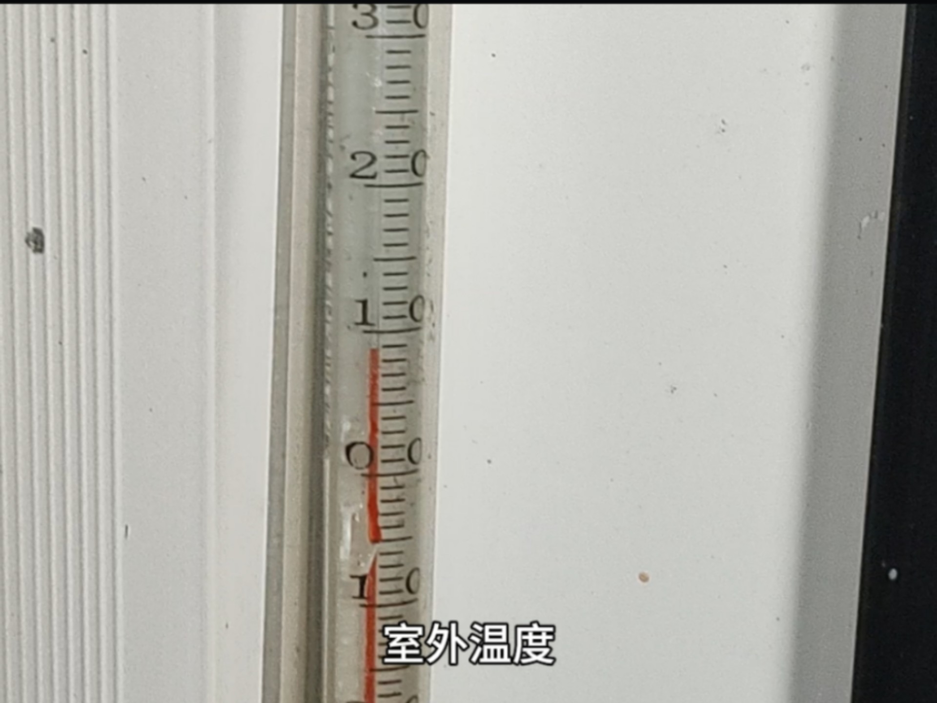 只有9度的三伏天，我又多了一位从南方来的邻居了