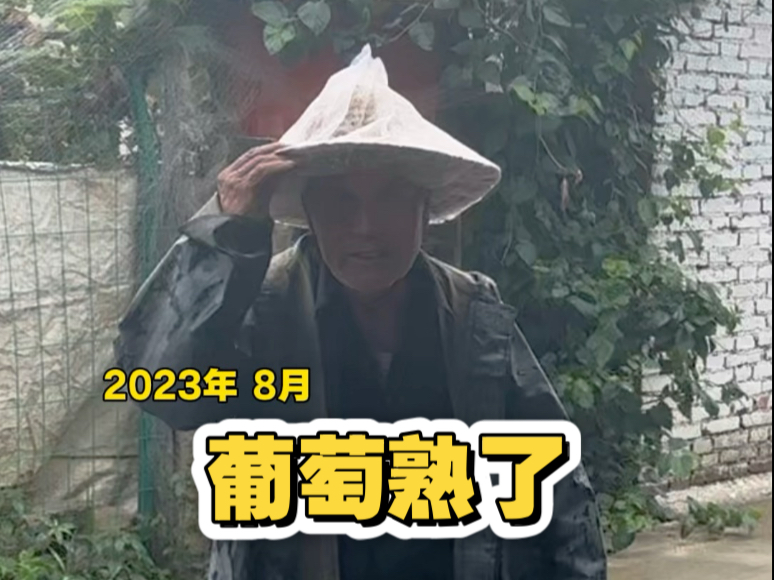 葡萄熟了，而你也该回家了看看了