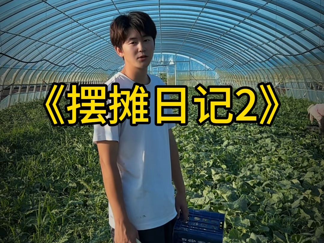 来看看我带广西男友回东北种地，摆摊卖瓜的一天#创作灵感 #农