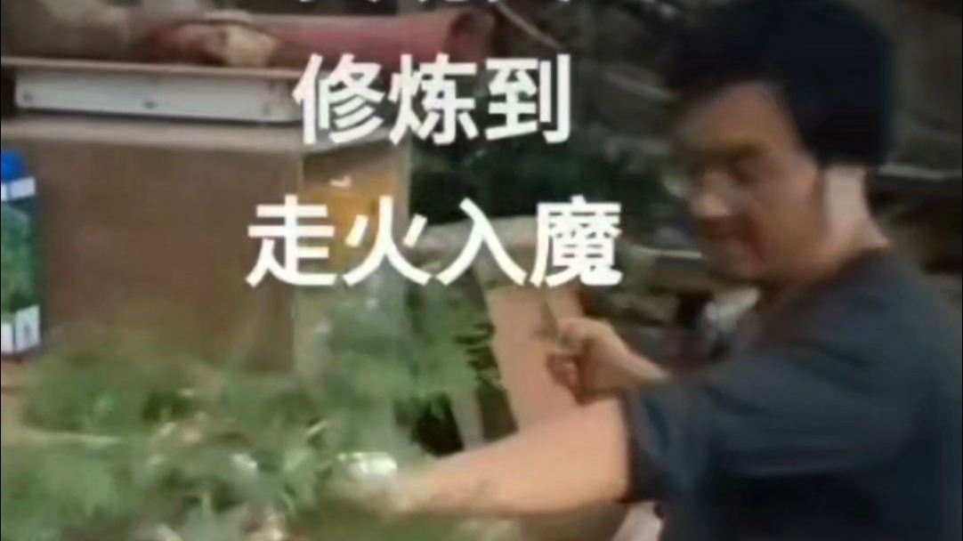 走火入魔了......