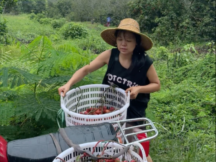 每一粒收成，都是和风雨谈判的结果