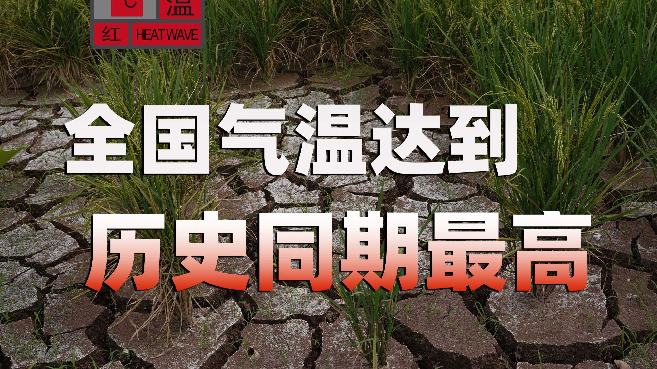 极端天气越来越多，对我们意味着什么？