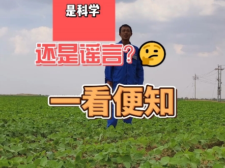 什么？沙漠土壤化是往沙子里加胶水？这也太离谱了！