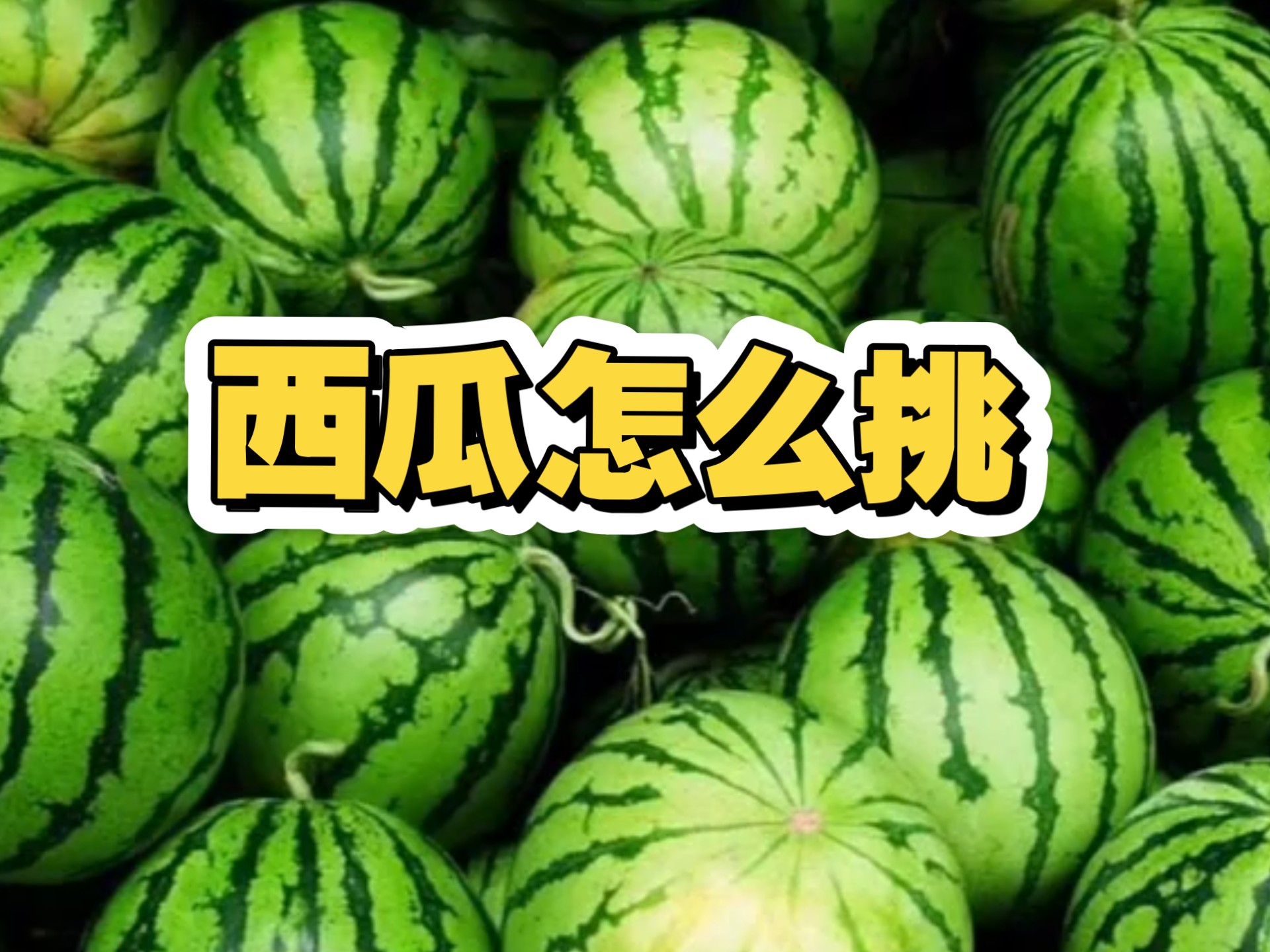 西瓜怎么挑？怎么挑选好吃的西瓜，