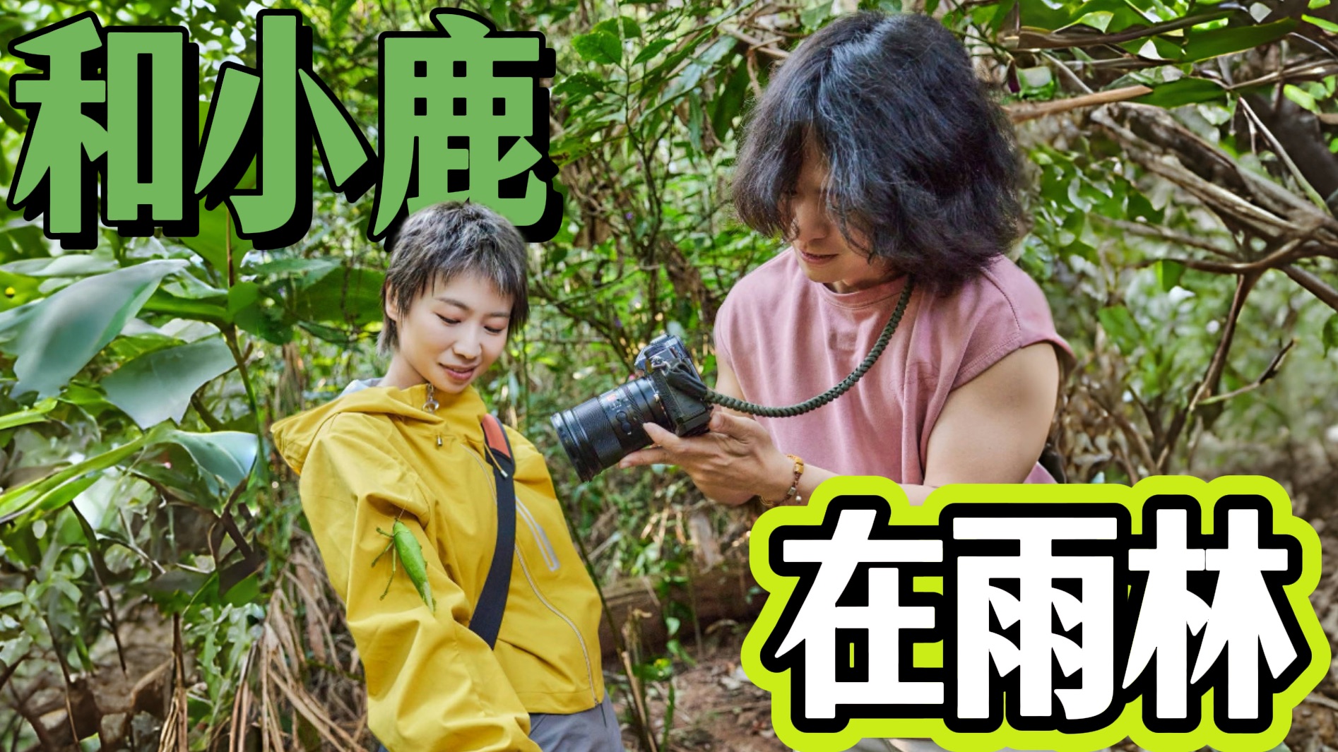 我带着脱口秀演员在丛林里抓到了中国最美的螳螂