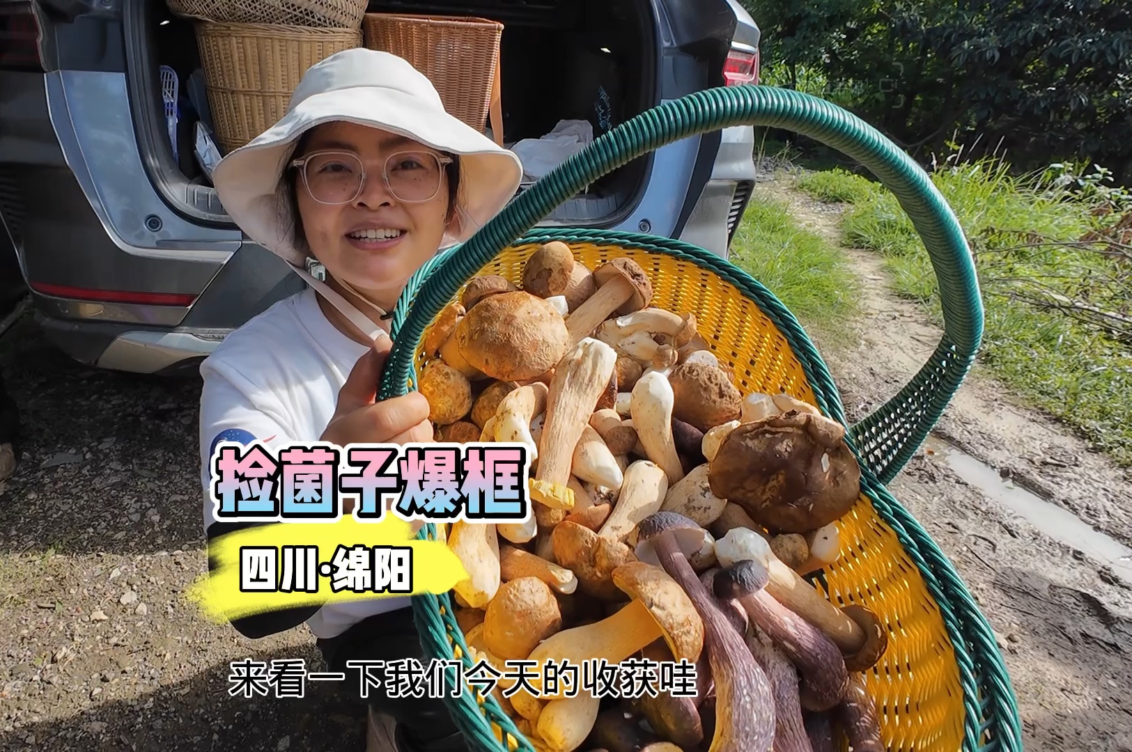 绵阳的牛肝菌长得好乖呀