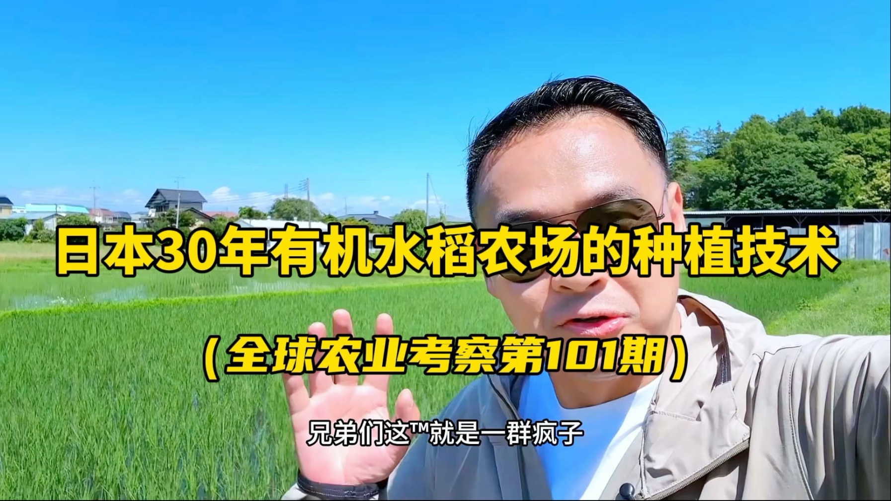 日本30年有机水稻农场，打造了一套独特的水稻种植技术！