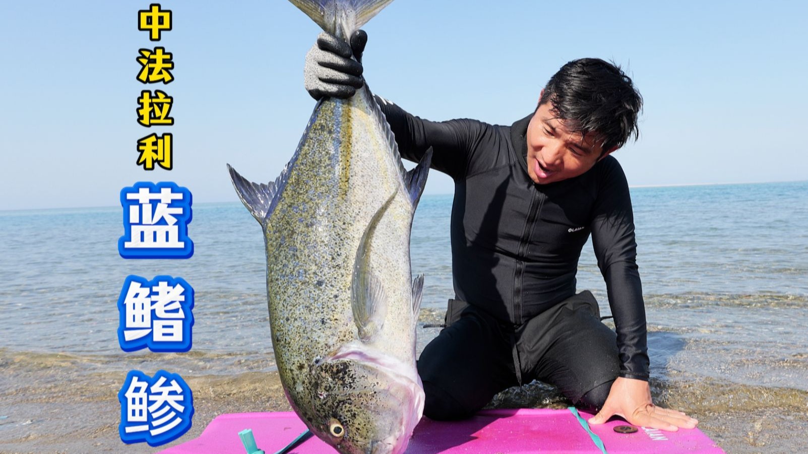 《埃及·红海》第3集：力量对决！今天第一视角感受，来自“海中法