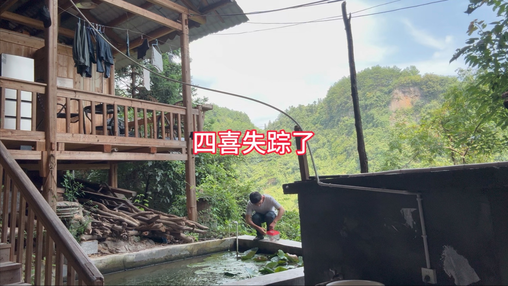 花40块钱，赶集买回来两条六角恐龙，回家发现四喜失踪了