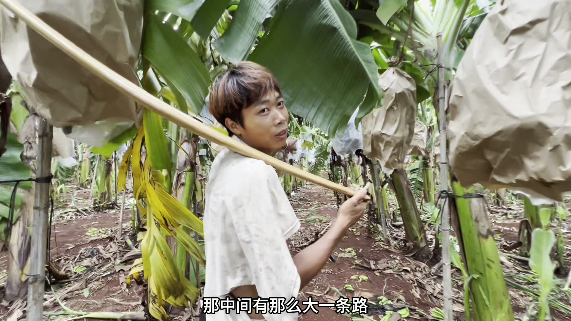 我要老板六分钱，而老板却想要我的命啊，太难了