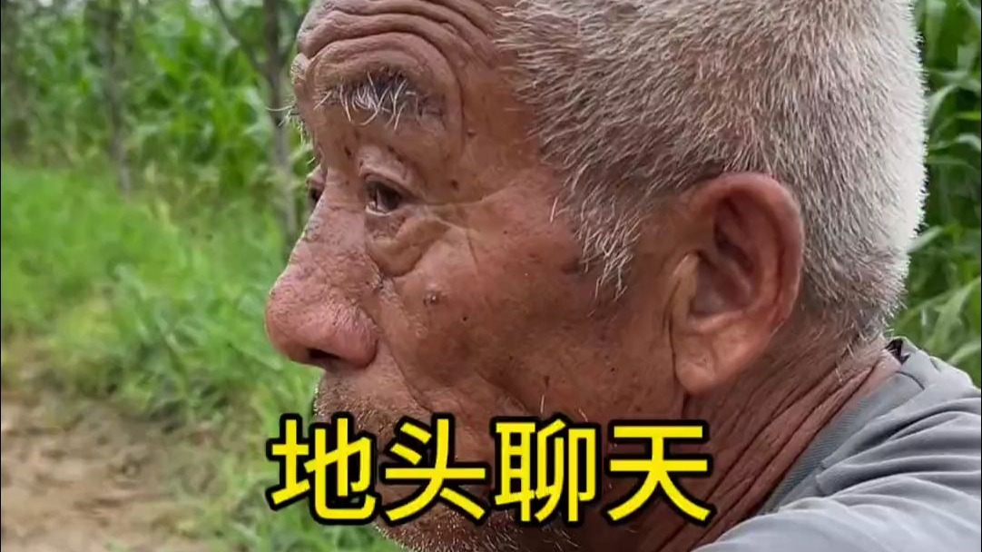 拍电影?