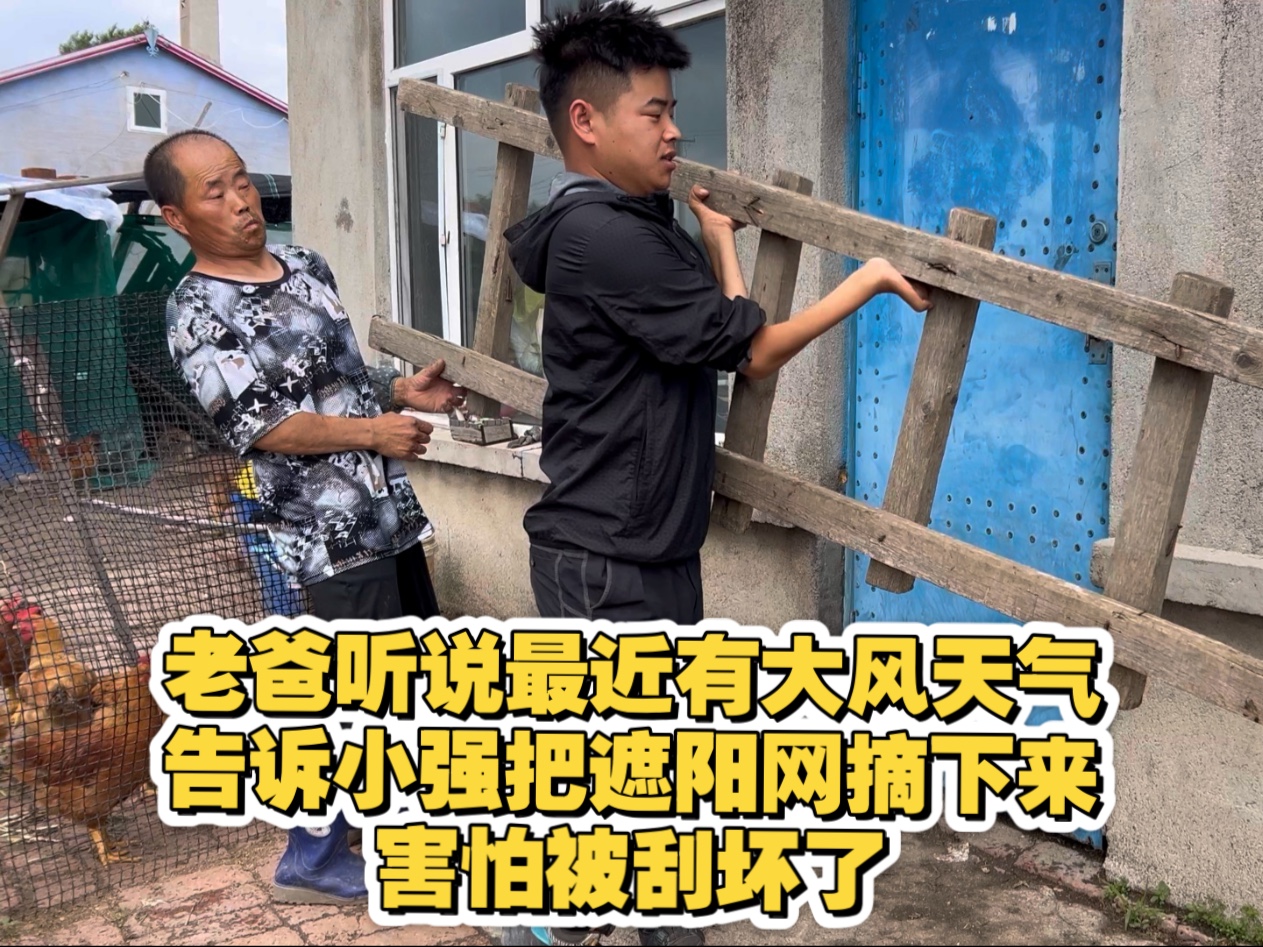 老爸听说最近有大风天气，告诉小强把遮阳网摘下来，害怕被刮坏了