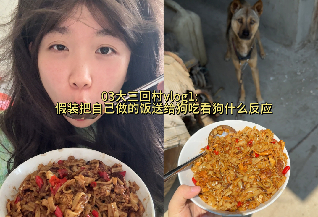 回村vlog1狗子刚来我们家还不熟，不然应该是会抢着吃的