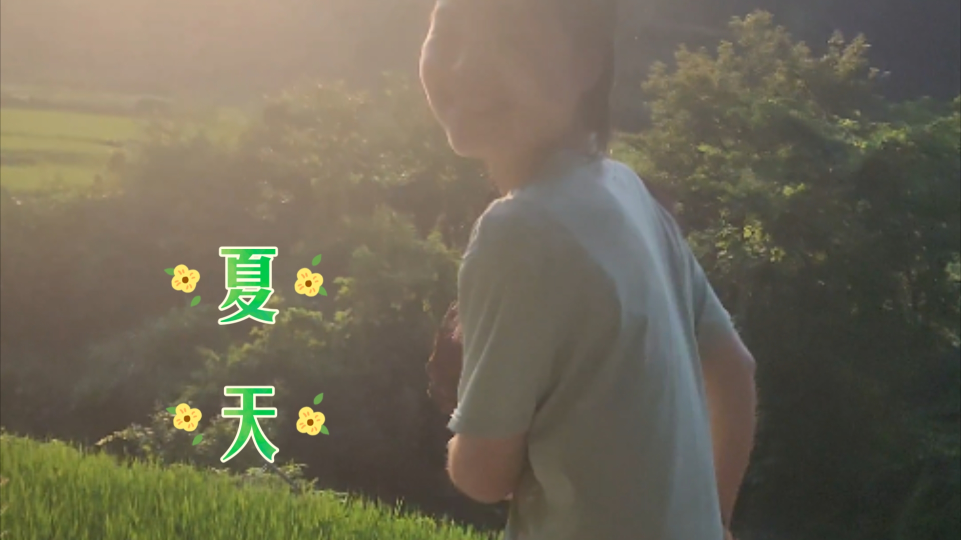 山里的夏天