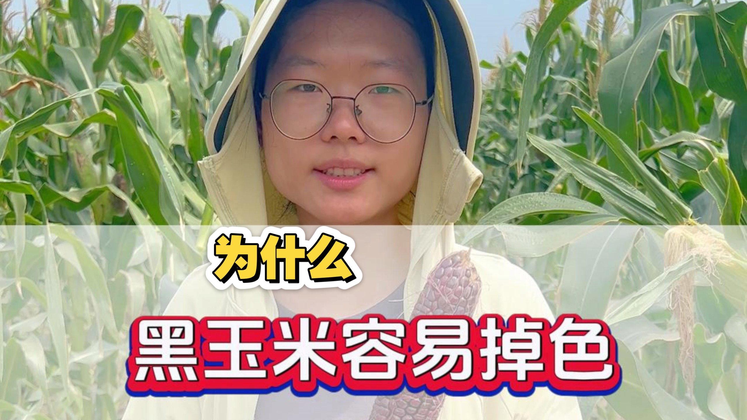 黑玉米为什么掉色？是染的色吗？
