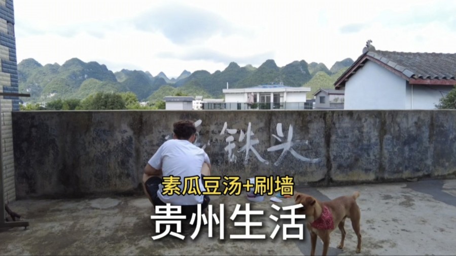 清早起来喝一碗素瓜豆汤，趁着天气好把院墙刷一刷亮堂点！
