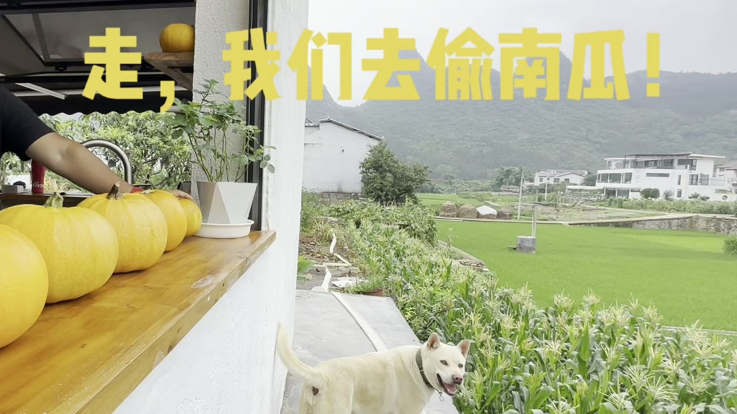 万峰林的猪圈改造基本完毕！从全世界找风景，到住到风景里。
