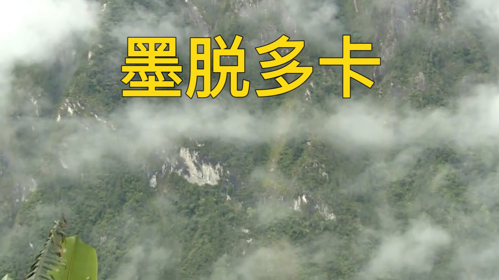 回不去的 只能活在回忆里 #墨脱多卡村